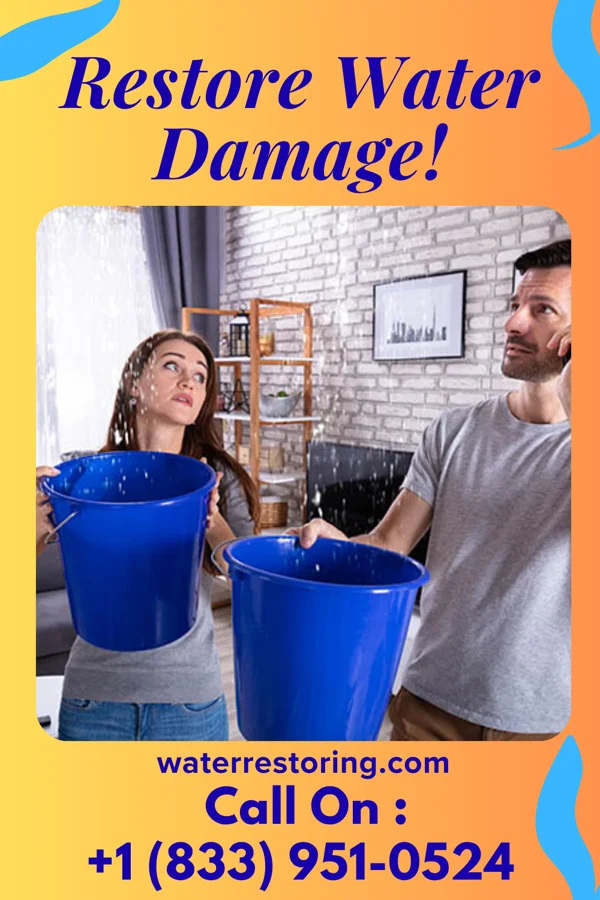 water restoration Peak Flood Cleanup Masters Chattaroy
